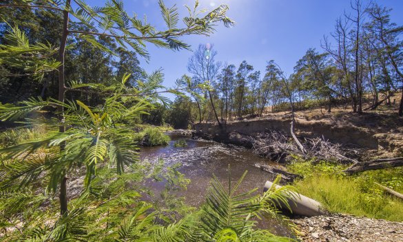 Breede River