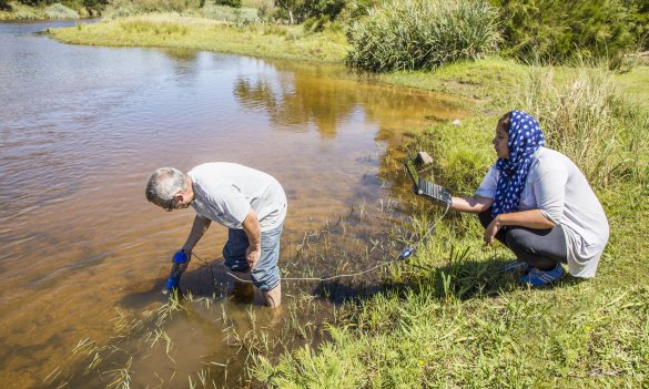 Water quality monitoring