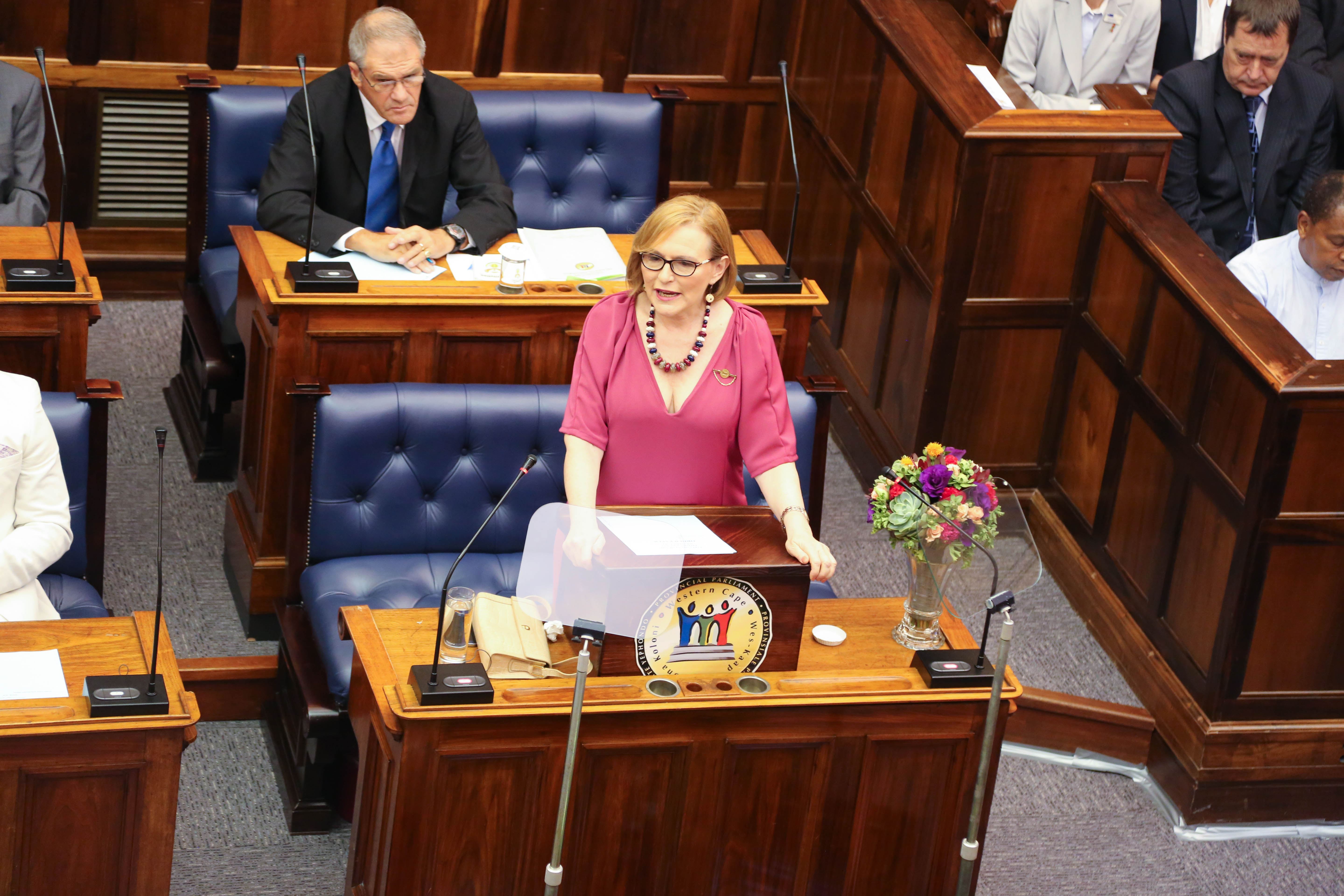 Premier Helen Zille 2017 State of the Province