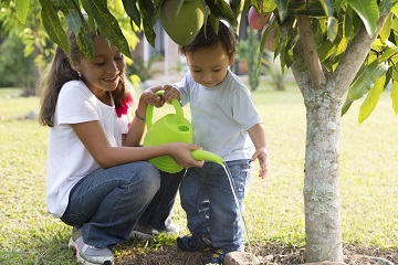 Children tending to tree