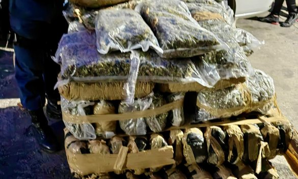 Western Cape Provincial Traffic and South African Police Service joint operation seized R7 million of cannabis 2.jpg